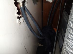 laundry machine hoses
